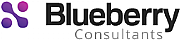 Blueberry Consultants Ltd logo