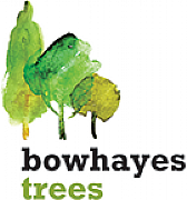 Bowhayes Trees Ltd logo