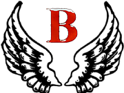 Bowman Car Wash Ltd logo