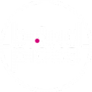 BRAND PICKS Ltd logo