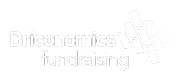 Briconomics Ltd logo