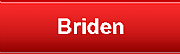 Briden Underpinning & Piling Ltd logo