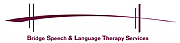 Bridge Slt Ltd logo