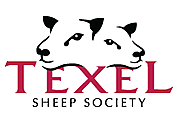 British Texel Sheep Society logo
