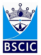 BSCIC Certification Pvt. Ltd logo