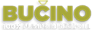 Bucino Ltd logo