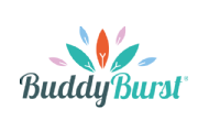BUDDY BURST Ltd logo