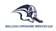 Bulldog It Services Ltd logo