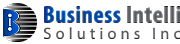 Business Intelli Jan Ltd logo