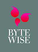 Bytewise System Services Ltd logo
