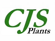 C J S Plants logo
