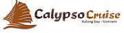 Calypso Software Services Ltd logo