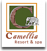 Camellia Hotels Ltd logo