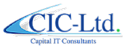 Capital It Consultants logo