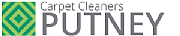 Carpet Cleaners Putney logo