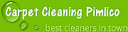 Carpet Cleaning Pimlico logo
