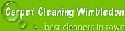 Carpet Cleaning Wimbledon logo