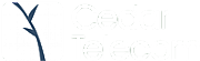 Cedar Telecom Ltd logo
