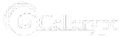 Cellcrypt Ltd logo