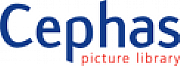 Cephas Picture Library Ltd logo