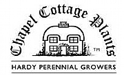 Chapel Cottage Plants Ltd logo