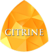 Citrine Solutions Ltd logo
