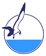 Clearwater Swimming Pools Ltd logo