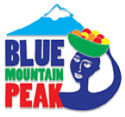 Blue Mountain Peak logo
