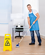 London Domestic Cleaners logo
