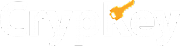 Copy Data (Service) Ltd logo