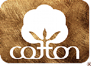 Costin Incorporated Ltd logo