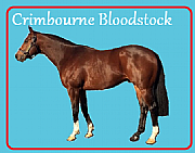 Crimbourne Bloodstock Ltd logo