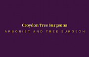 Croydon Tree Surgeons logo