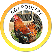 D J Poultry Ltd logo
