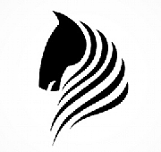 Dark Horse Software Ltd logo