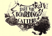 Dart Vale Boarding Cattery Ltd logo