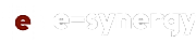 Database Synergy Ltd logo
