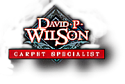 David P Wilson logo