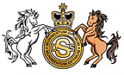 Definitive Security Services Ltd logo