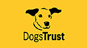 DEVON DOG SCHOOL LTD logo