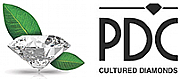Diamond Education Partners Ltd logo