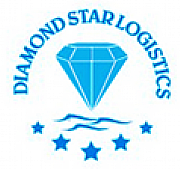 Diamond Star Ltd logo