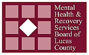 Directors Rescue Ltd logo