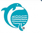 Dolphin Media & Design Ltd logo