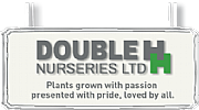 Doubleh Ltd logo