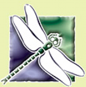 Dragonfly Presentation Graphics Ltd logo