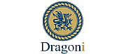 DRAGONI PARTNERS LLP logo