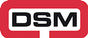 Dsm Industrial Engineering Ltd logo