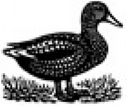 Duckworth Literary Entertainments Ltd logo