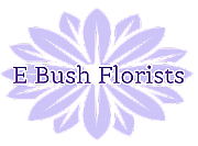 E Bush Ltd logo